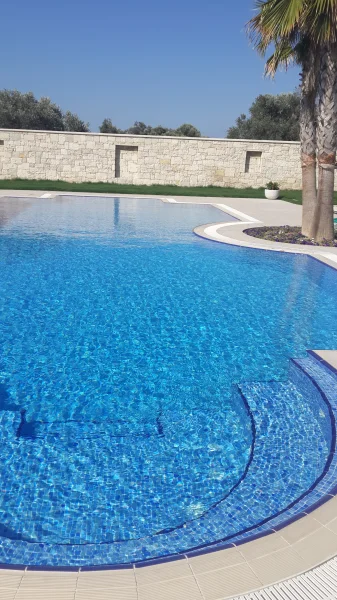 Mavi ve Ahşap Ahengi: Urla Üstten Taşmalı Mavi Mozaik Havuz ve İroko Detayları Detay