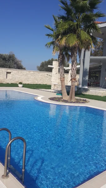 Mavi ve Ahşap Ahengi: Urla Üstten Taşmalı Mavi Mozaik Havuz ve İroko Detayları Detay