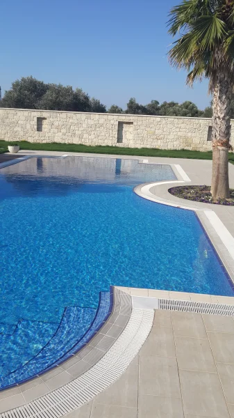 Mavi ve Ahşap Ahengi: Urla Üstten Taşmalı Mavi Mozaik Havuz ve İroko Detayları Detay